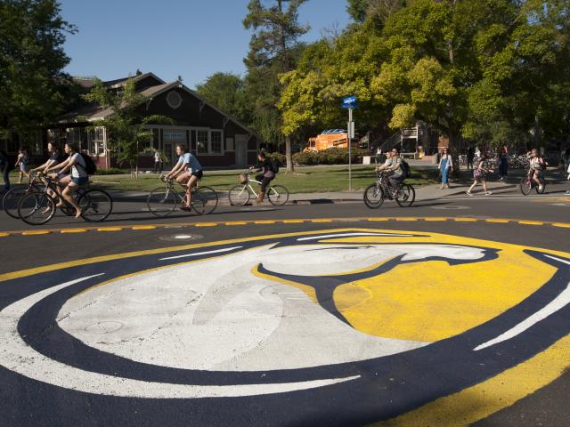 UC Davis Bike circle