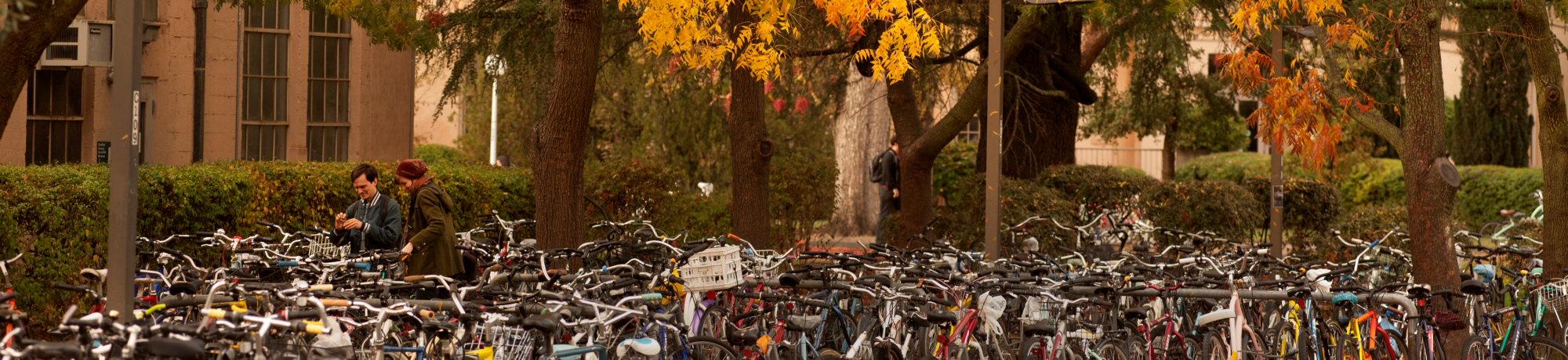 Bikes at UC Davis