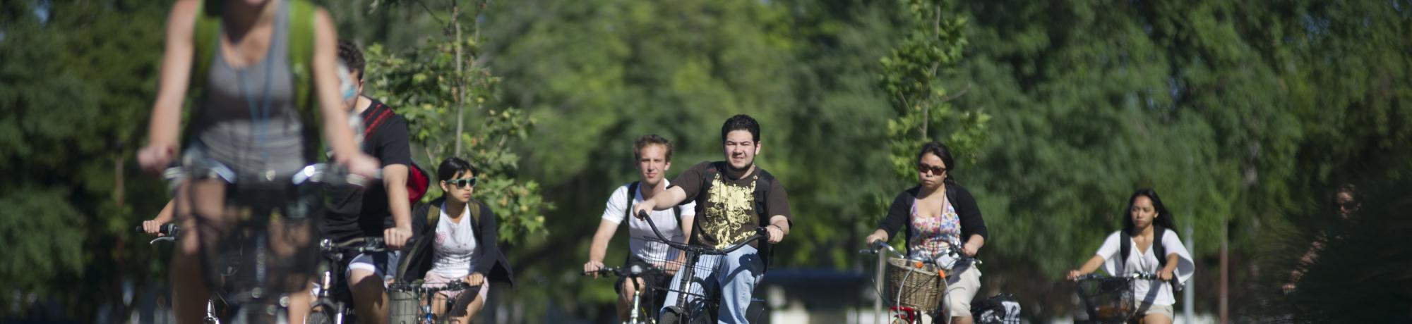 Students riding bikes