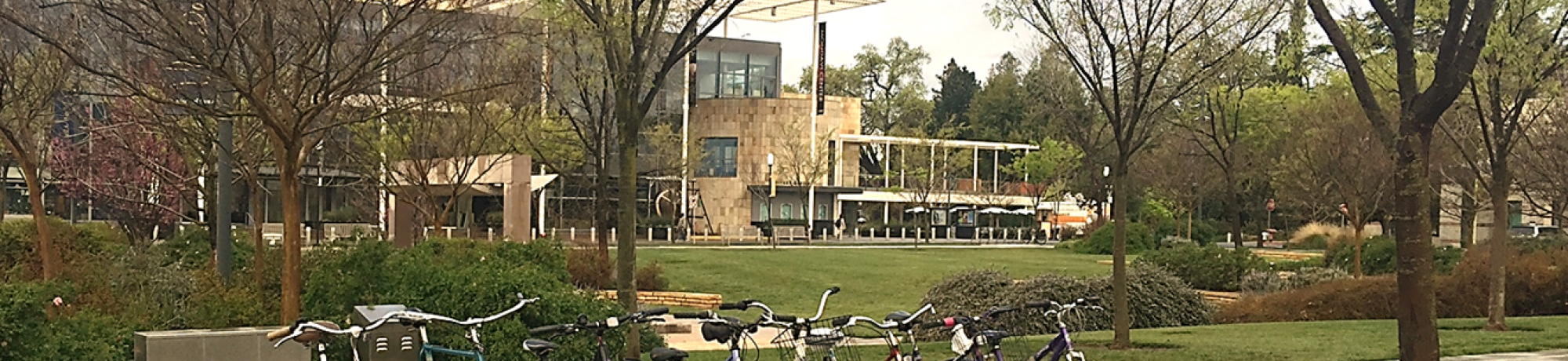 UC Davis Quad